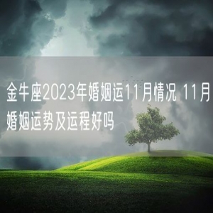 金牛座2023年婚姻运11月情况 11月婚姻运势及运程好吗