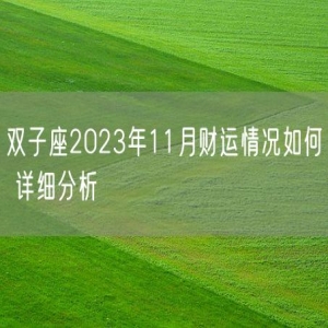 双子座2023年11月财运情况如何 详细分析