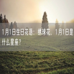 1月1日生日花语：绣球花，1月1日是什么星座？