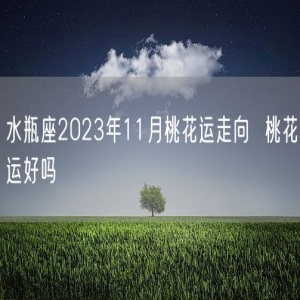 水瓶座2023年11月桃花运走向  桃花运好吗