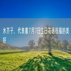 水芥子，代表着7月7日生日花语祝福的美好