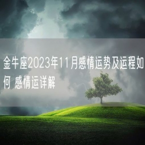 金牛座2023年11月感情运势及运程如何 感情运详解