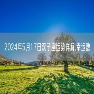 2024年5月17日双子座运势详解,幸运数