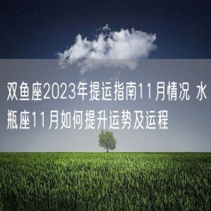 双鱼座2023年提运指南11月情况 水瓶座11月如何提升运势及运程