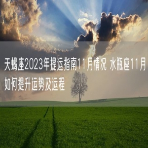 天蝎座2023年提运指南11月情况 水瓶座11月如何提升运势及运程