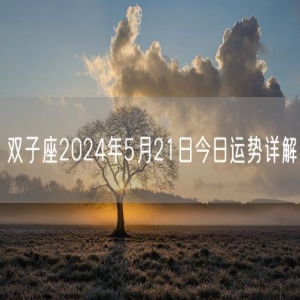 双子座2024年5月21日今日运势详解