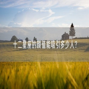 十二星座的颜值能吸引多少人？