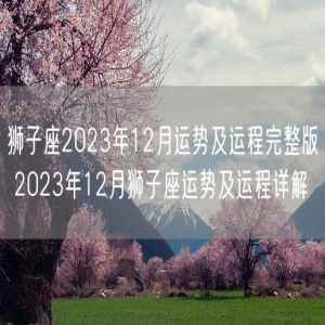 狮子座2023年12月运势及运程完整版 2023年12月狮子座运势及运程详解