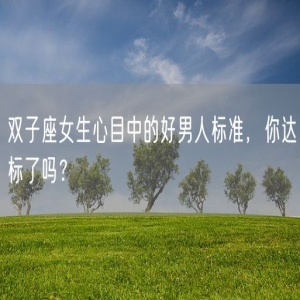 双子座女生心目中的好男人标准，你达标了吗？
