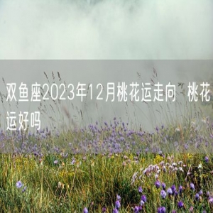 双鱼座2023年12月桃花运走向  桃花运好吗