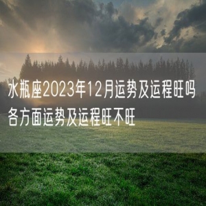 水瓶座2023年12月运势及运程旺吗 各方面运势及运程旺不旺