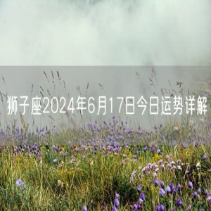 狮子座2024年6月17日今日运势详解