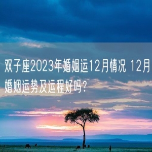 双子座2023年婚姻运12月情况 12月婚姻运势及运程好吗？