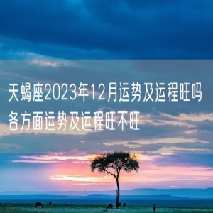 天蝎座2023年12月运势及运程旺吗 各方面运势及运程旺不旺