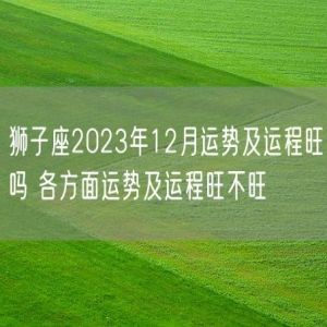 狮子座2023年12月运势及运程旺吗 各方面运势及运程旺不旺