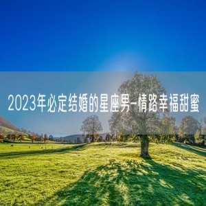 2023年必定结婚的星座男-情路幸福甜蜜