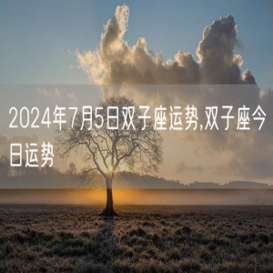 2024年7月5日双子座运势,双子座今日运势