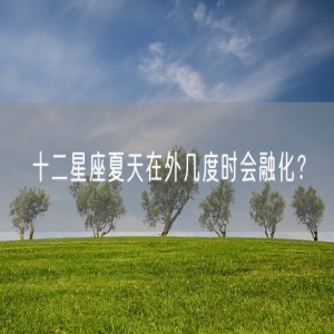 十二星座夏天在外几度时会融化？