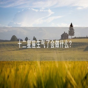 十二星座生气了会做什么？