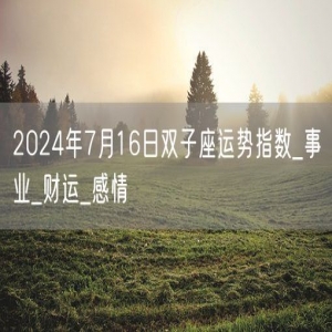 2024年7月16日双子座运势指数_事业_财运_感情