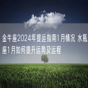 金牛座2024年提运指南1月情况 水瓶座1月如何提升运势及运程