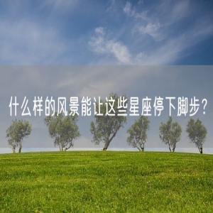 什么样的风景能让这些星座停下脚步？