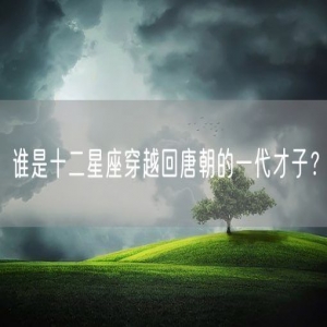 谁是十二星座穿越回唐朝的一代才子？