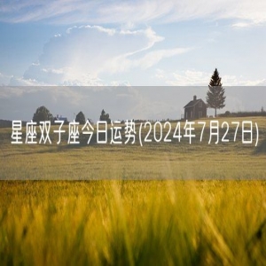 星座双子座今日运势(2024年7月27日) 