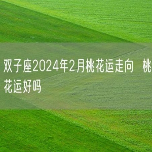 双子座2024年2月桃花运走向  桃花运好吗