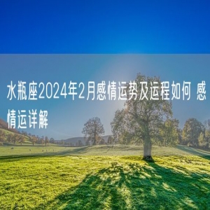 水瓶座2024年2月感情运势及运程如何 感情运详解