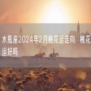 水瓶座2024年2月桃花运走向  桃花运好吗