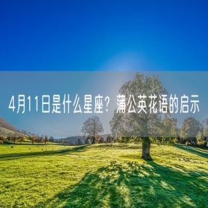 4月11日是什么星座？蒲公英花语的启示