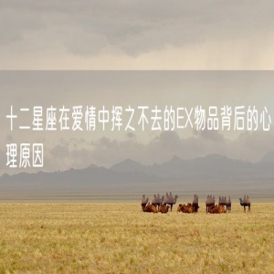 十二星座在爱情中挥之不去的EX物品背后的心理原因