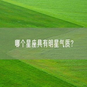 哪个星座具有明星气质？