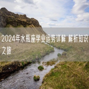 2024年水瓶座学业运势详解 解析知识之旅