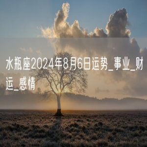 水瓶座2024年8月6日运势_事业_财运_感情
