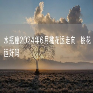 水瓶座2024年6月桃花运走向  桃花运好吗