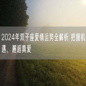 2024年双子座爱情运势全解析 把握机遇，邂逅真爱