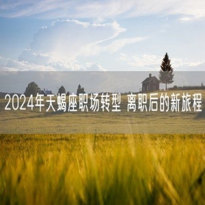 2024年天蝎座职场转型 离职后的新旅程