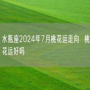 水瓶座2024年7月桃花运走向  桃花运好吗