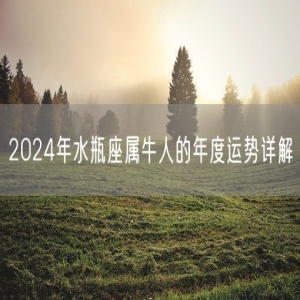 2024年水瓶座属牛人的年度运势详解