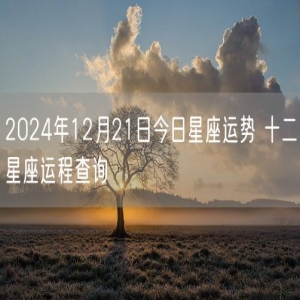 2024年12月21日今日星座运势 十二星座运程查询