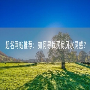 起名网站推荐：如何寻找买房风水灵感？