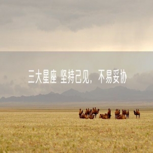 三大星座 坚持己见，不易妥协