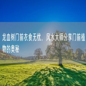 龙血树门前衣食无忧，风水大师分享门前植物的奥秘