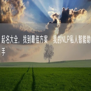 起名大全，找到最佳方案   我的NLP私人智能助手