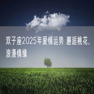 双子座2025年爱情运势 邂逅桃花，浪漫情缘