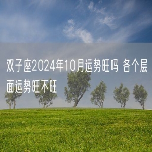 双子座2024年10月运势旺吗 各个层面运势旺不旺