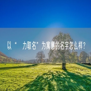 以“劼力取名”为寓意的名字怎么样？