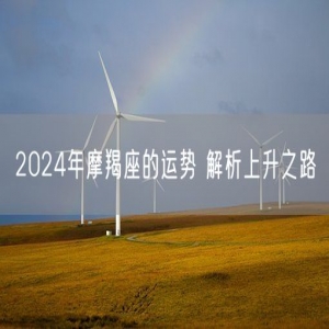 2024年摩羯座的运势 解析上升之路